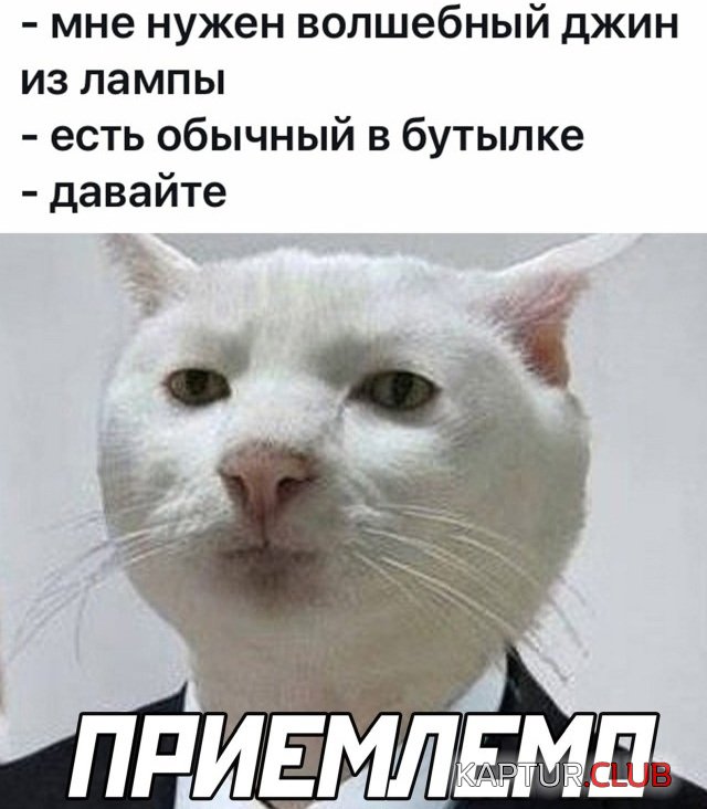 1626793469_podb_vecher_10.jpg | Рено Каптур Клуб Россия | Форум KAPTUR.SU