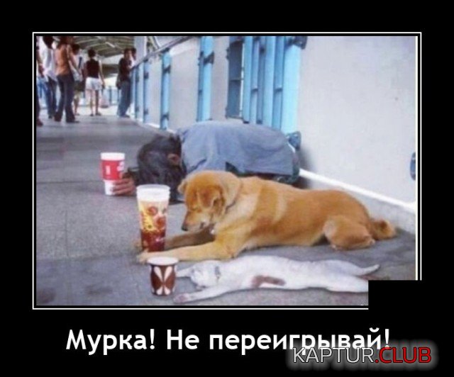 1627310612_demotivatory_05.jpg | Рено Каптур Клуб Россия | Форум KAPTUR.SU