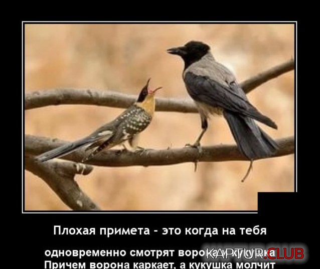 1627754852_1627482212_demotivatory_09.jpg | Рено Каптур Клуб Россия | Форум KAPTUR.SU