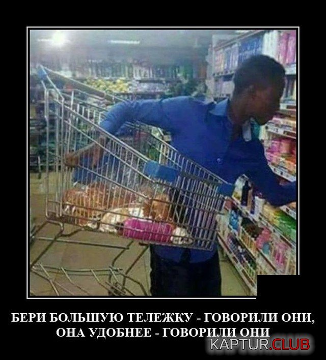 1627754918_1627482162_demotivatory_19.jpg | Рено Каптур Клуб Россия | Форум KAPTUR.SU
