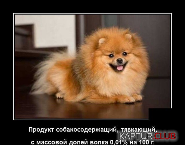 1627898921_1627393869_demotivatory_13.jpg | Рено Каптур Клуб Россия | Форум KAPTUR.SU
