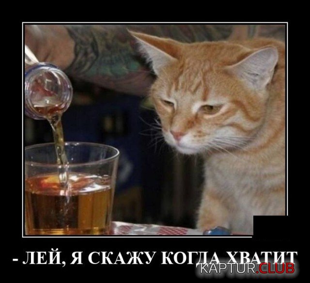 1628073939_demotivatory_20.jpg | Рено Каптур Клуб Россия | Форум KAPTUR.SU