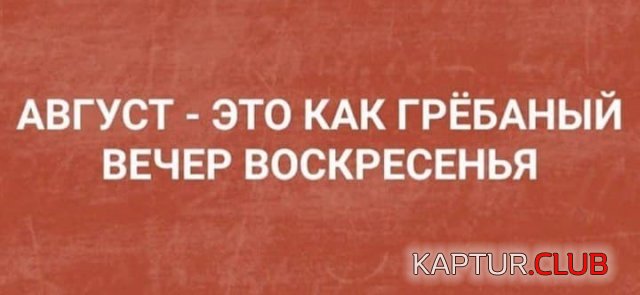 1628235772_216145_1_trinixy_ru.jpg | Рено Каптур Клуб Россия | Форум KAPTUR.SU