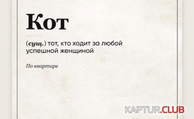 1628243142_216079_5_trinixy_ru.jpg | Рено Каптур Клуб Россия | Форум KAPTUR.SU