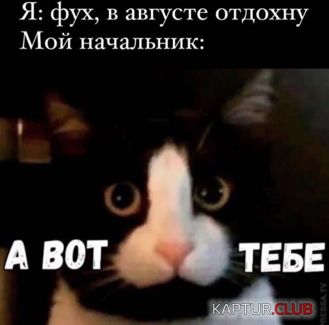 1628243146_216079_2_trinixy_ru.jpg | Рено Каптур Клуб Россия | Форум KAPTUR.SU