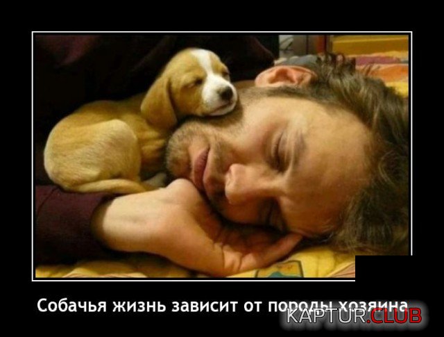 1628521555_demotivatory_14.jpg | Рено Каптур Клуб Россия | Форум KAPTUR.SU