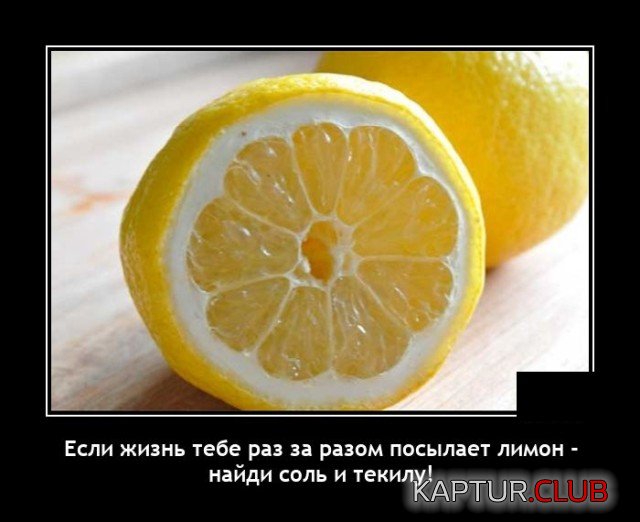 1628605990_demotivatory_15.jpg | Рено Каптур Клуб Россия | Форум KAPTUR.SU