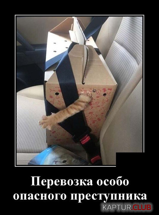 1628676707_1628258601_demotivatory_05.jpg | Рено Каптур Клуб Россия | Форум KAPTUR.SU