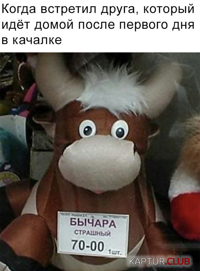 1628693972_podb_02.jpg | Рено Каптур Клуб Россия | Форум KAPTUR.SU