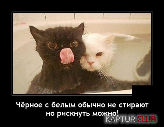 1629051477_1628780542_demotivatory_18.jpg | Рено Каптур Клуб Россия | Форум KAPTUR.SU