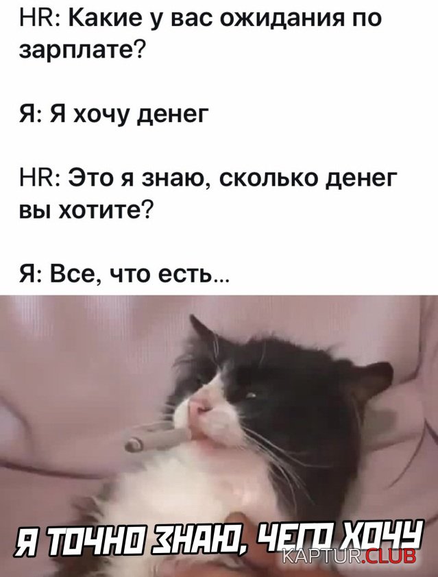 1629630893_1629376519_podb_14.jpg | Рено Каптур Клуб Россия | Форум KAPTUR.SU