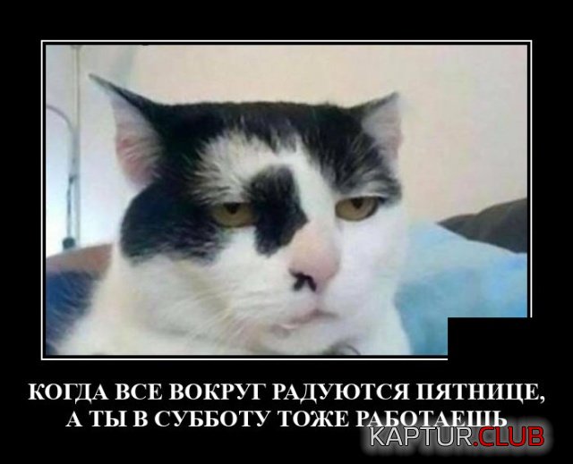 1629990570_demotivatory_03.jpg | Рено Каптур Клуб Россия | Форум KAPTUR.SU