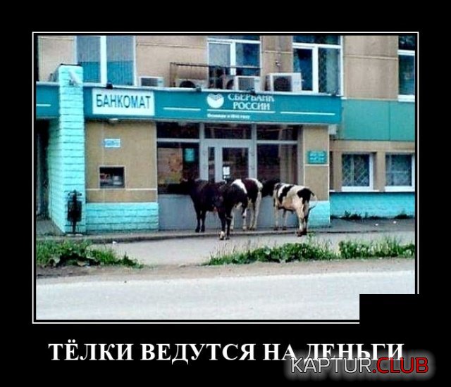 1630338586_demotivatory_07.jpg | Рено Каптур Клуб Россия | Форум KAPTUR.SU