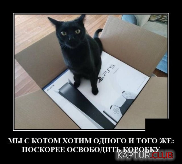 1630338591_demotivatory_20.jpg | Рено Каптур Клуб Россия | Форум KAPTUR.SU