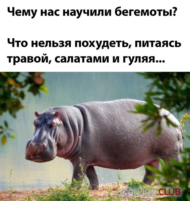 1630340715_podb_29.jpg | Рено Каптур Клуб Россия | Форум KAPTUR.SU