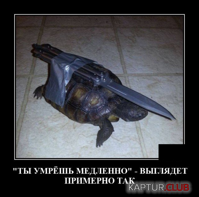 1630502073_demotivatory_18.jpg | Рено Каптур Клуб Россия | Форум KAPTUR.SU