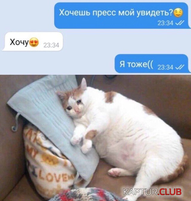 1630596935_podb_01.jpg | Рено Каптур Клуб Россия | Форум KAPTUR.SU