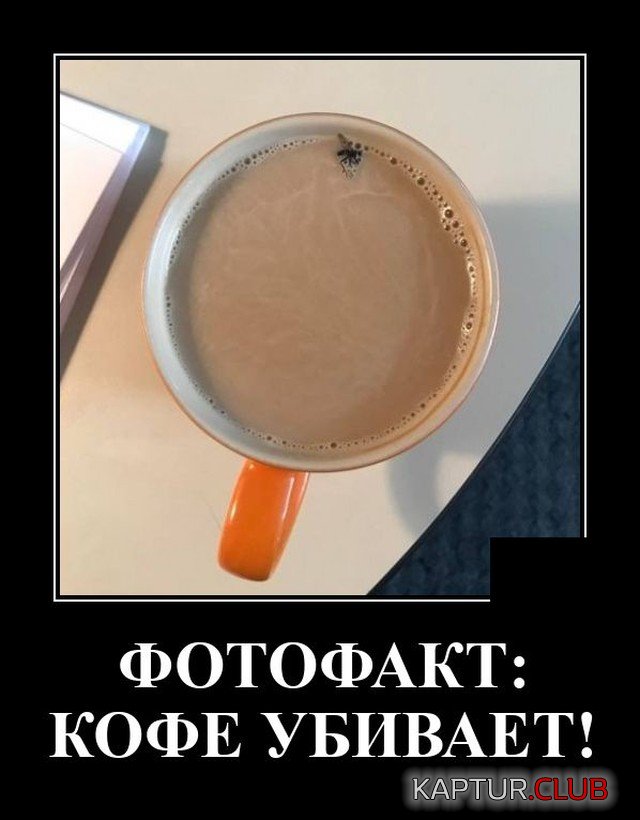 1630669261_demotivatory_15.jpg | Рено Каптур Клуб Россия | Форум KAPTUR.SU