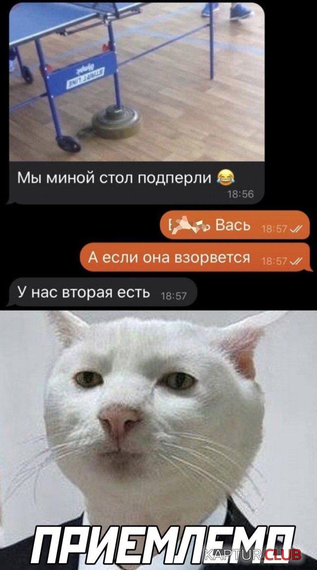 1630673260_podb_28.jpg | Рено Каптур Клуб Россия | Форум KAPTUR.SU