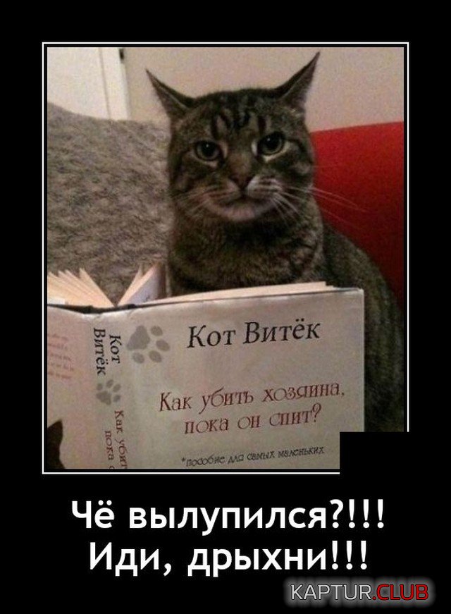 1630929763_demotivatory_06.jpg | Рено Каптур Клуб Россия | Форум KAPTUR.SU