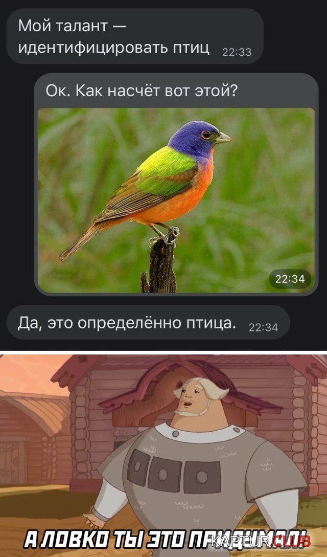 1631025762_podb_04.jpg | Рено Каптур Клуб Россия | Форум KAPTUR.SU