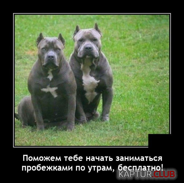 1631104045_demotivatory_09.jpg | Рено Каптур Клуб Россия | Форум KAPTUR.SU