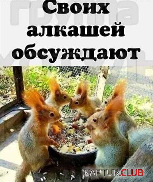 1631104976_217414_9_trinixy_ru.jpg | Рено Каптур Клуб Россия | Форум KAPTUR.SU