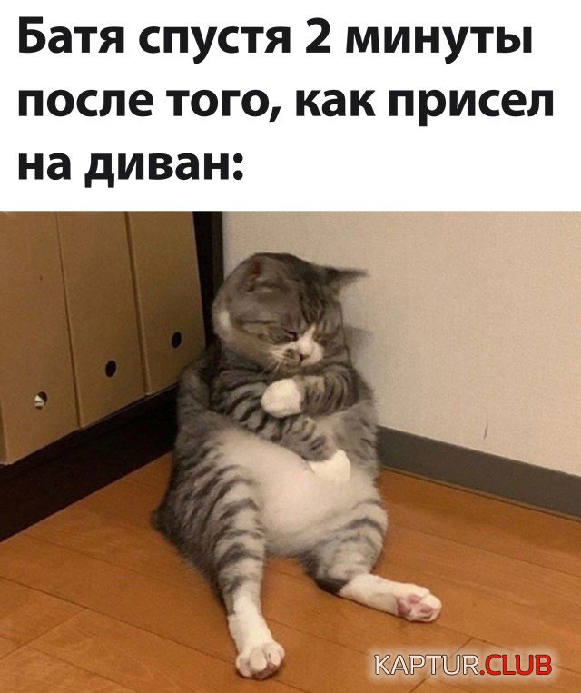 1631112619_podb_01.jpg | Рено Каптур Клуб Россия | Форум KAPTUR.SU