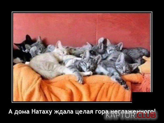 1631539035_demotivatory_11.jpg | Рено Каптур Клуб Россия | Форум KAPTUR.SU