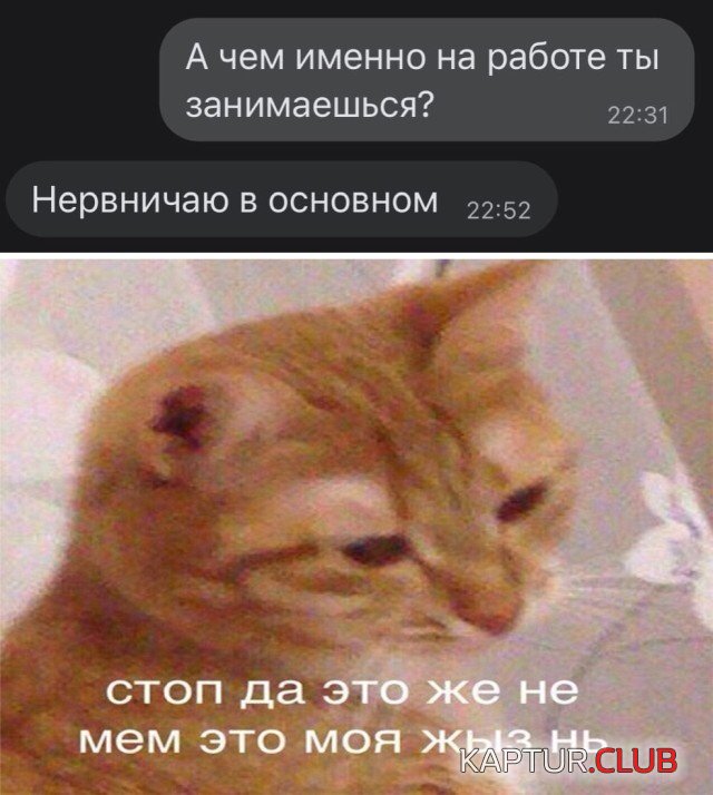 1631607658_1631280627_podb_18.jpg | Рено Каптур Клуб Россия | Форум KAPTUR.SU