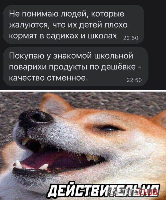 1631718269_podb_29.jpg | Рено Каптур Клуб Россия | Форум KAPTUR.SU