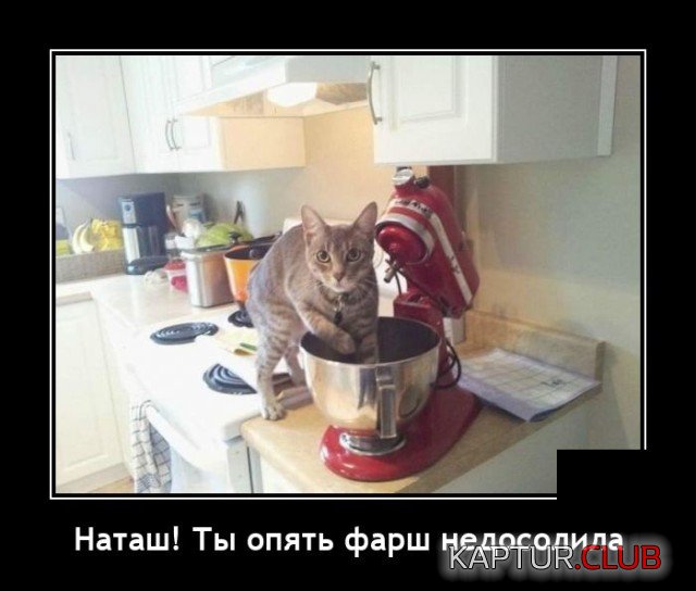 1632052823_1631714470_demotivatory_05.jpg | Рено Каптур Клуб Россия | Форум KAPTUR.SU