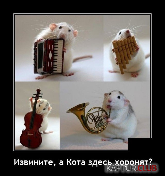 1632052828_1631714466_demotivatory_15.jpg | Рено Каптур Клуб Россия | Форум KAPTUR.SU