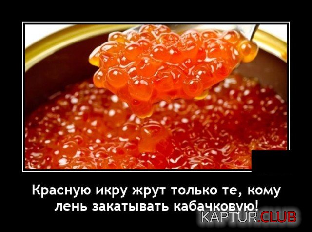 1632052882_1631714482_demotivatory_18.jpg | Рено Каптур Клуб Россия | Форум KAPTUR.SU