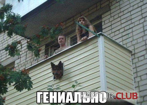163247117.p.500.500.0.jpg | Рено Каптур Клуб Россия | Форум KAPTUR.SU
