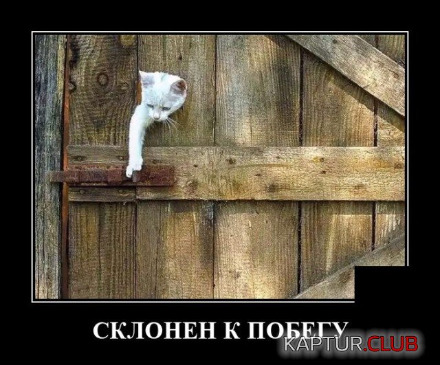 1632482076_demotivatory_10.jpg | Рено Каптур Клуб Россия | Форум KAPTUR.SU