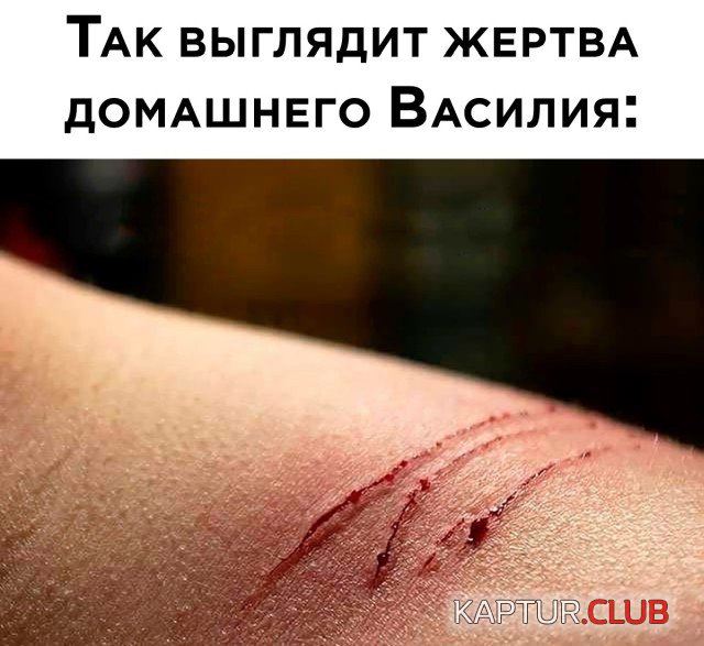 1632769772_1632485478_podb_03.jpg | Рено Каптур Клуб Россия | Форум KAPTUR.SU