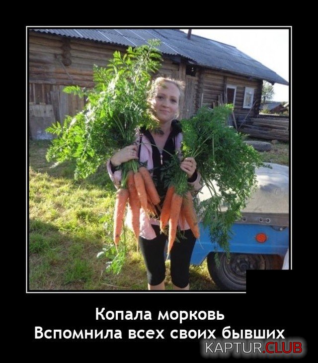 1633512943_1633347758_demotivatory_05.jpg | Рено Каптур Клуб Россия | Форум KAPTUR.SU