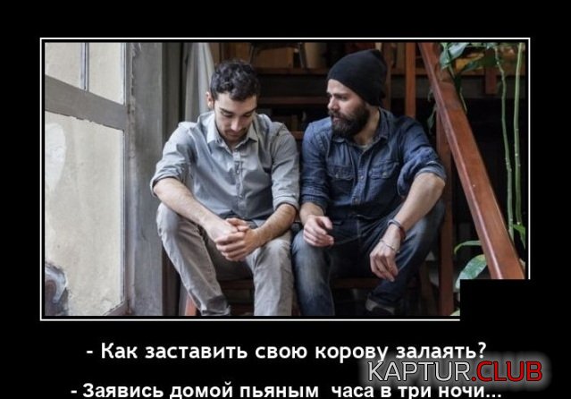 1633512977_1633347804_demotivatory_10.jpg | Рено Каптур Клуб Россия | Форум KAPTUR.SU