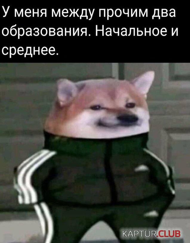 1633513098_1633355176_podb_01.jpg | Рено Каптур Клуб Россия | Форум KAPTUR.SU