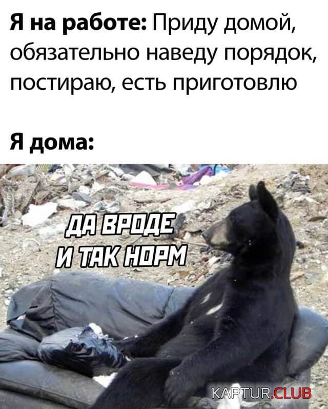 1633532517_podb_29.jpg | Рено Каптур Клуб Россия | Форум KAPTUR.SU