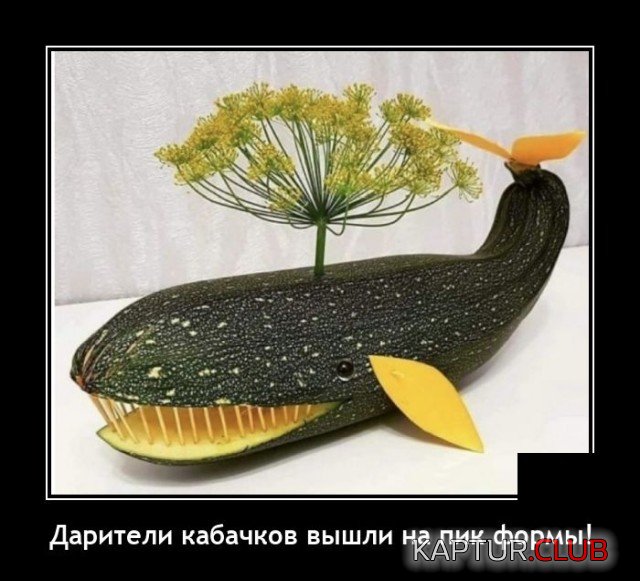 1633962968_demotivatory_07.jpg | Рено Каптур Клуб Россия | Форум KAPTUR.SU