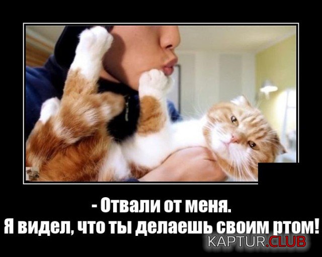 1633962999_demotivatory_15.jpg | Рено Каптур Клуб Россия | Форум KAPTUR.SU