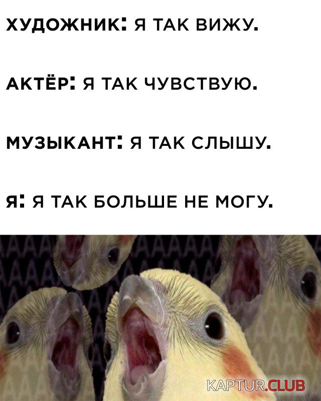 1633965416_podb_vecher_29.jpg | Рено Каптур Клуб Россия | Форум KAPTUR.SU