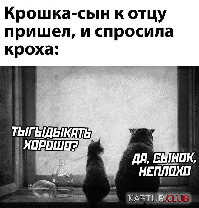 1634050843_podb_06.jpg | Рено Каптур Клуб Россия | Форум KAPTUR.SU