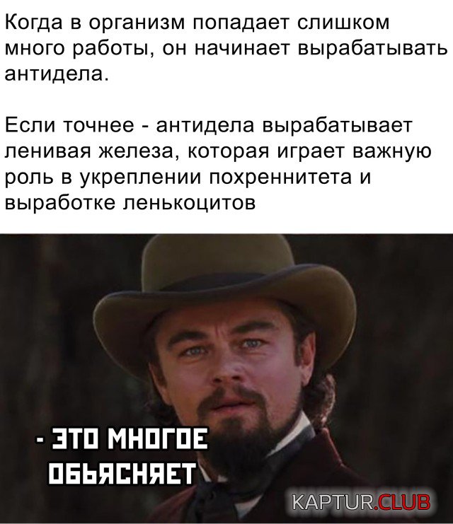 1634050845_podb_26.jpg | Рено Каптур Клуб Россия | Форум KAPTUR.SU