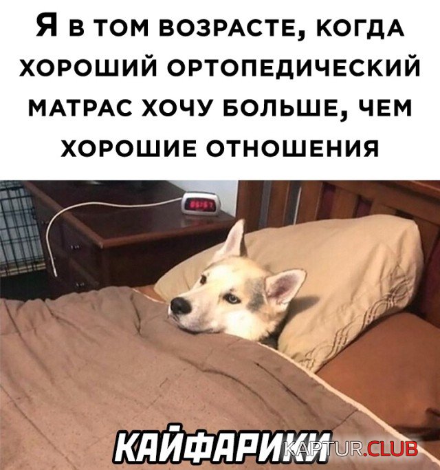 1634050866_podb_29.jpg | Рено Каптур Клуб Россия | Форум KAPTUR.SU