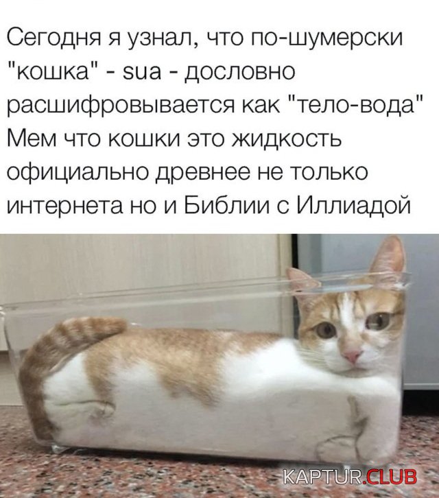 1634050872_podb_02.jpg | Рено Каптур Клуб Россия | Форум KAPTUR.SU