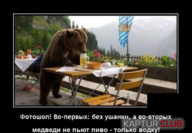 1634125593_demotivatory_20.jpg | Рено Каптур Клуб Россия | Форум KAPTUR.SU