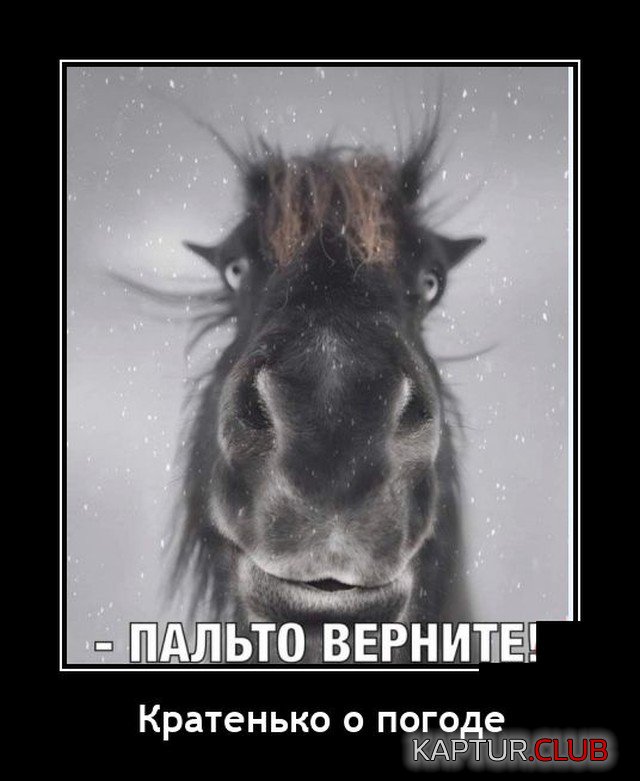 1634203187_1634045640_demotivatory_15.jpg | Рено Каптур Клуб Россия | Форум KAPTUR.SU